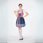Dirndl Kleid für Damen mit Bluse und kariertem Schürze